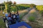 Solis 26S Kleintraktor – 26 PS Allradtraktor mit Seitenschaltung & Servolenkung – Bild 3