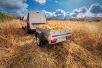 Kleiner Anhänger Garden Trailer 150 KIPP 150×106 cm 750kg-Neu – Bild 3