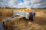 Kleiner Anhänger Garden Trailer 150 KIPP 150×106 cm 750kg-Neu – Bild 5